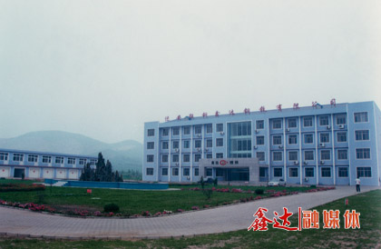 10月，迁安联钢PG电子钢铁有限公司成立；第一座128m³高炉点火生产。